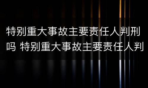 特别重大事故主要责任人判刑吗 特别重大事故主要责任人判刑吗