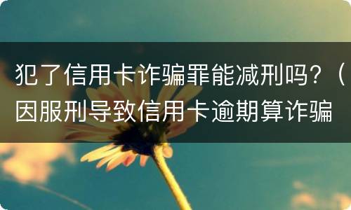 犯了信用卡诈骗罪能减刑吗?（因服刑导致信用卡逾期算诈骗罪吗）