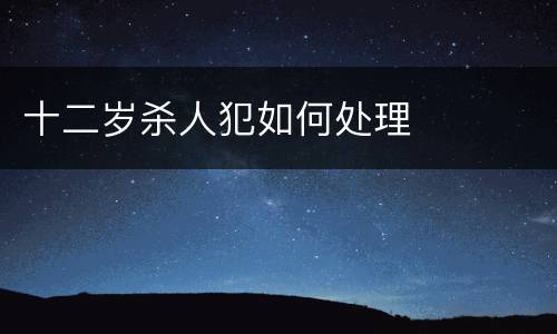 十二岁杀人犯如何处理