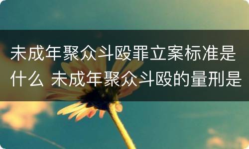 未成年聚众斗殴罪立案标准是什么 未成年聚众斗殴的量刑是多少呀