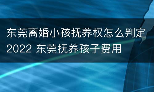 东莞离婚小孩抚养权怎么判定2022 东莞抚养孩子费用