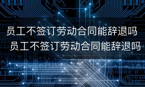 员工不签订劳动合同能辞退吗 员工不签订劳动合同能辞退吗合法吗