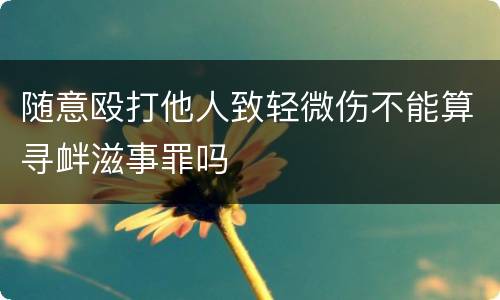 随意殴打他人致轻微伤不能算寻衅滋事罪吗