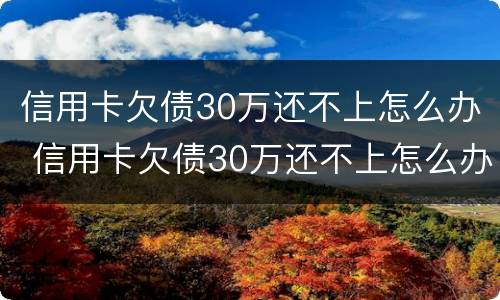信用卡欠债30万还不上怎么办 信用卡欠债30万还不上怎么办呢