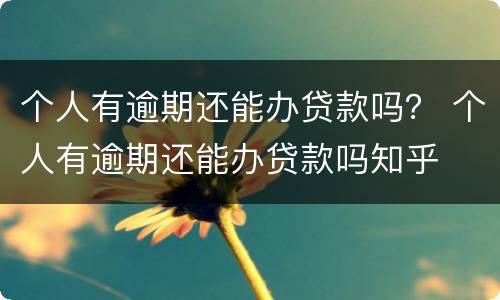 个人有逾期还能办贷款吗？ 个人有逾期还能办贷款吗知乎
