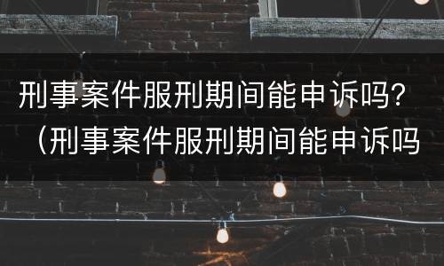 刑事案件服刑期间能申诉吗？（刑事案件服刑期间能申诉吗法院）
