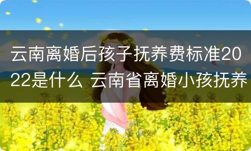 云南离婚后孩子抚养费标准2022是什么 云南省离婚小孩抚养费怎么算