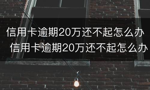 信用卡逾期20万还不起怎么办 信用卡逾期20万还不起怎么办 老师们 没人催了