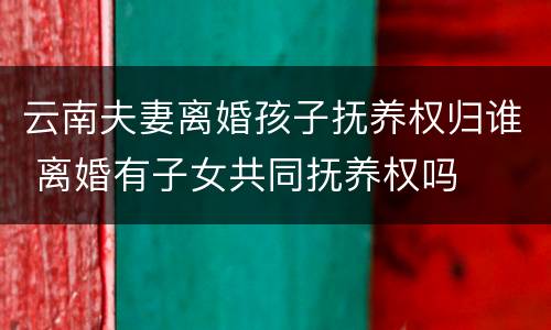 云南夫妻离婚孩子抚养权归谁 离婚有子女共同抚养权吗