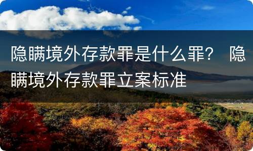 隐瞒境外存款罪是什么罪？ 隐瞒境外存款罪立案标准