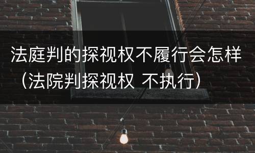 法庭判的探视权不履行会怎样（法院判探视权 不执行）