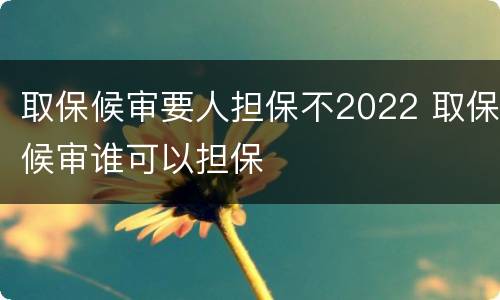 取保候审要人担保不2022 取保候审谁可以担保