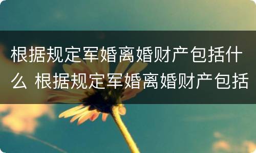 根据规定军婚离婚财产包括什么 根据规定军婚离婚财产包括什么意思