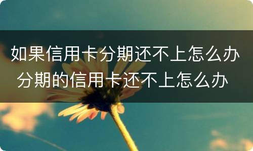 如果信用卡分期还不上怎么办 分期的信用卡还不上怎么办