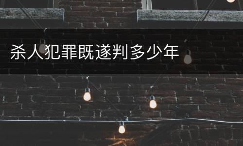 杀人犯罪既遂判多少年