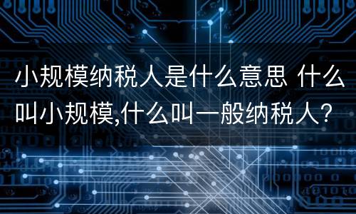 小规模纳税人是什么意思 什么叫小规模,什么叫一般纳税人?
