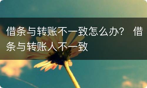 借条与转账不一致怎么办？ 借条与转账人不一致