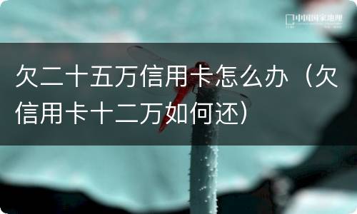 欠二十五万信用卡怎么办（欠信用卡十二万如何还）