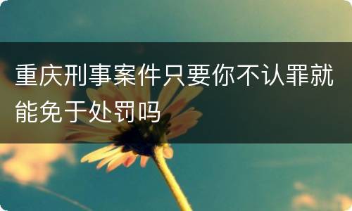重庆刑事案件只要你不认罪就能免于处罚吗