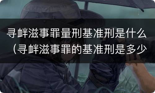 寻衅滋事罪量刑基准刑是什么（寻衅滋事罪的基准刑是多少）