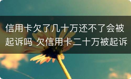信用卡欠了几十万还不了会被起诉吗 欠信用卡二十万被起诉会有什么后果