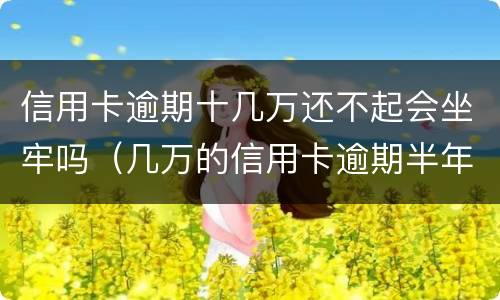 信用卡逾期十几万还不起会坐牢吗（几万的信用卡逾期半年会坐牢吗?）
