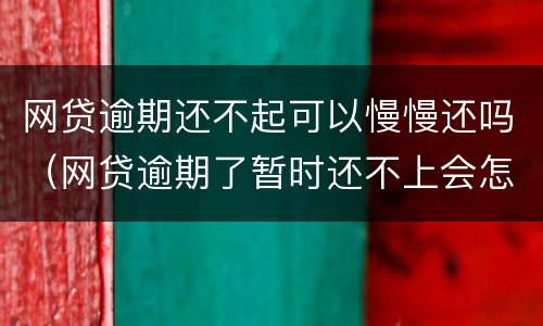 网贷逾期还不起可以慢慢还吗（网贷逾期了暂时还不上会怎样）