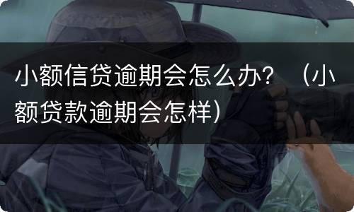 小额信贷逾期会怎么办？（小额贷款逾期会怎样）