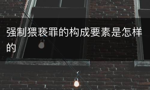强制猥亵罪的构成要素是怎样的