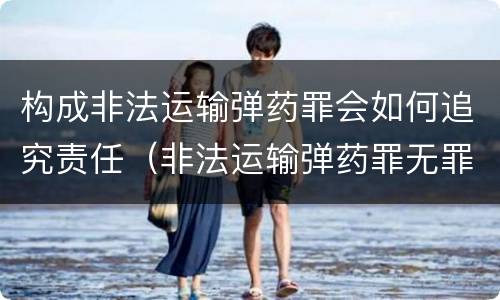 构成非法运输弹药罪会如何追究责任（非法运输弹药罪无罪判决书）