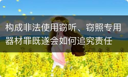 构成非法使用窃听、窃照专用器材罪既遂会如何追究责任