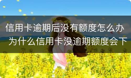 信用卡逾期后没有额度怎么办 为什么信用卡没逾期额度会下降