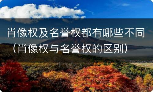 肖像权及名誉权都有哪些不同（肖像权与名誉权的区别）