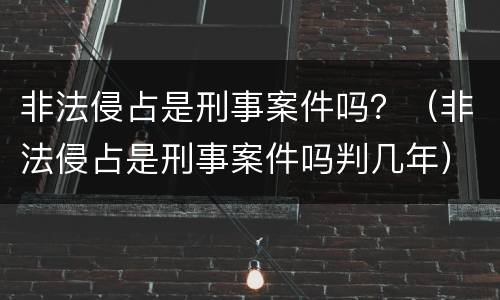 非法侵占是刑事案件吗？（非法侵占是刑事案件吗判几年）
