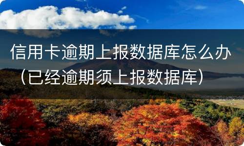 信用卡逾期上报数据库怎么办（已经逾期须上报数据库）