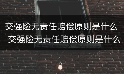 交强险无责任赔偿原则是什么 交强险无责任赔偿原则是什么意思
