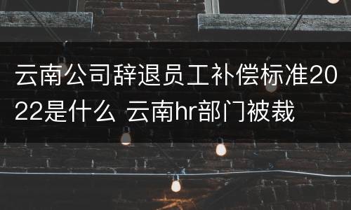 云南公司辞退员工补偿标准2022是什么 云南hr部门被裁