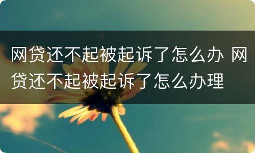 网贷还不起被起诉了怎么办 网贷还不起被起诉了怎么办理