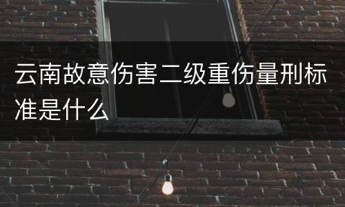 云南故意伤害二级重伤量刑标准是什么