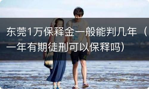 东莞1万保释金一般能判几年（一年有期徒刑可以保释吗）