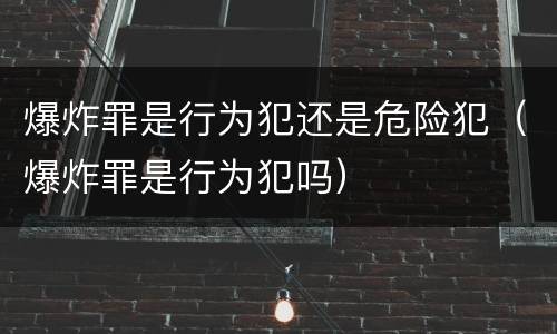 爆炸罪是行为犯还是危险犯（爆炸罪是行为犯吗）