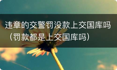 违章的交警罚没款上交国库吗（罚款都是上交国库吗）