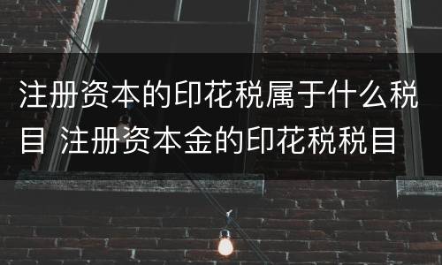 注册资本的印花税属于什么税目 注册资本金的印花税税目