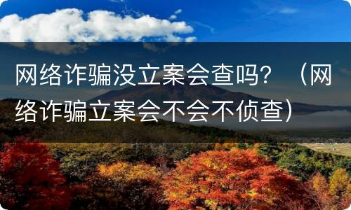 网络诈骗没立案会查吗？（网络诈骗立案会不会不侦查）