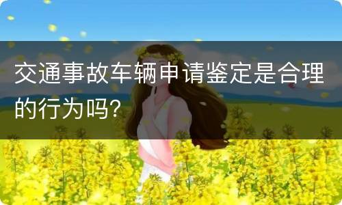 交通事故车辆申请鉴定是合理的行为吗？