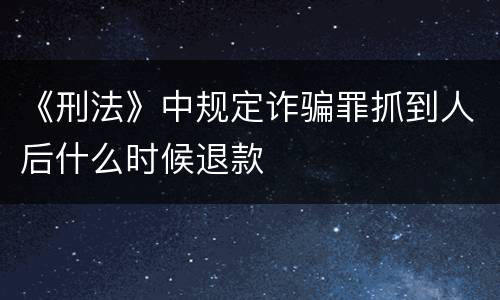《刑法》中规定诈骗罪抓到人后什么时候退款