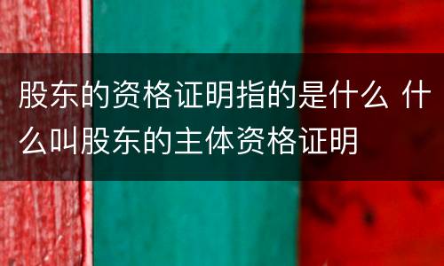 股东的资格证明指的是什么 什么叫股东的主体资格证明