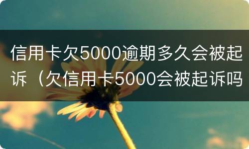 信用卡欠5000逾期多久会被起诉（欠信用卡5000会被起诉吗）
