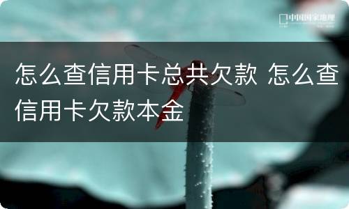 怎么查信用卡总共欠款 怎么查信用卡欠款本金